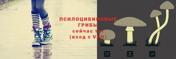 стаф Вяземский