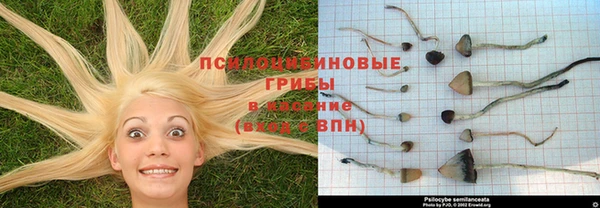 соль курить ск Волосово