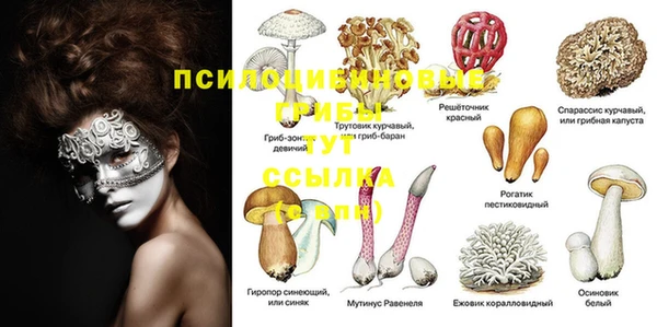 трава Волоколамск
