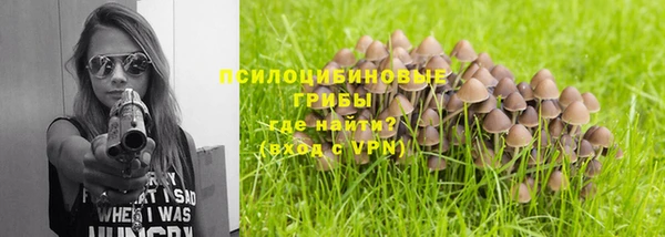 трава Волоколамск