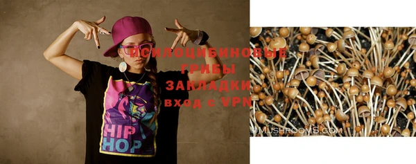 спайс Володарск