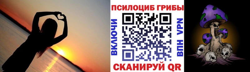 Галлюциногенные грибы Psilocybe  Владимир 