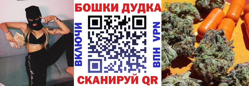 Канабис планчик  Владимир 